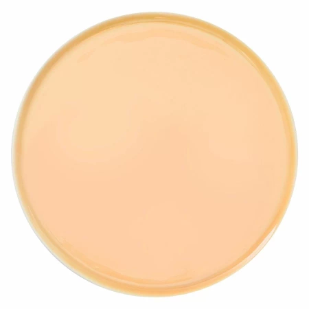 Talerz płaski okrągły 18 cm, łososiowy ETER - VERLO