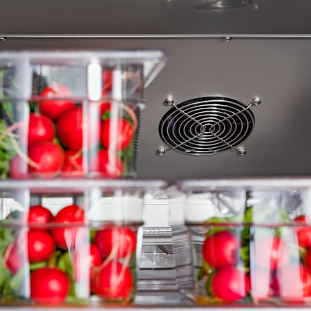 Szafa chłodnicza ze stali nierdzewnej, GN 2/1, V 600 l