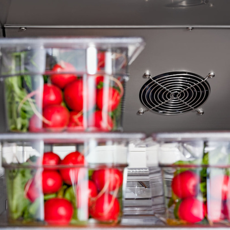 Szafa chłodnicza ze stali nierdzewnej na nóżkach, GN 2/1, V 600 l