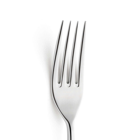 Widelec stołowy - NEWTON AMEFA