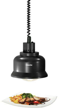 Lampa grzewcza IWL250D SW